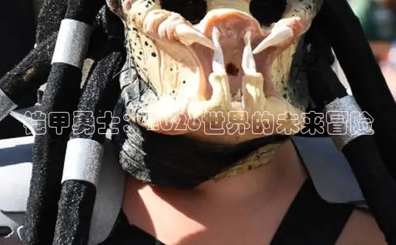 里番动漫网